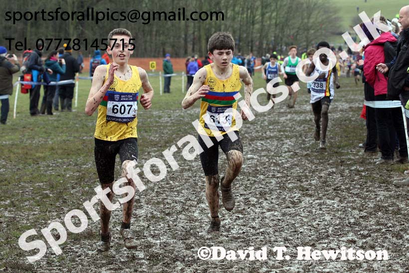 Boys under-13s 2018 British Inter Counties Cross Country Champs., Prestwold Hall, Loughborough. Photo: David T. Hewitson/Sports for All Pics